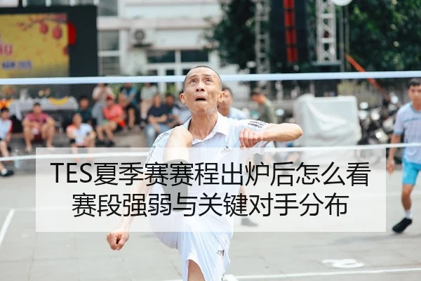 TES夏季赛赛程出炉后怎么看赛段强弱与关键对手分布